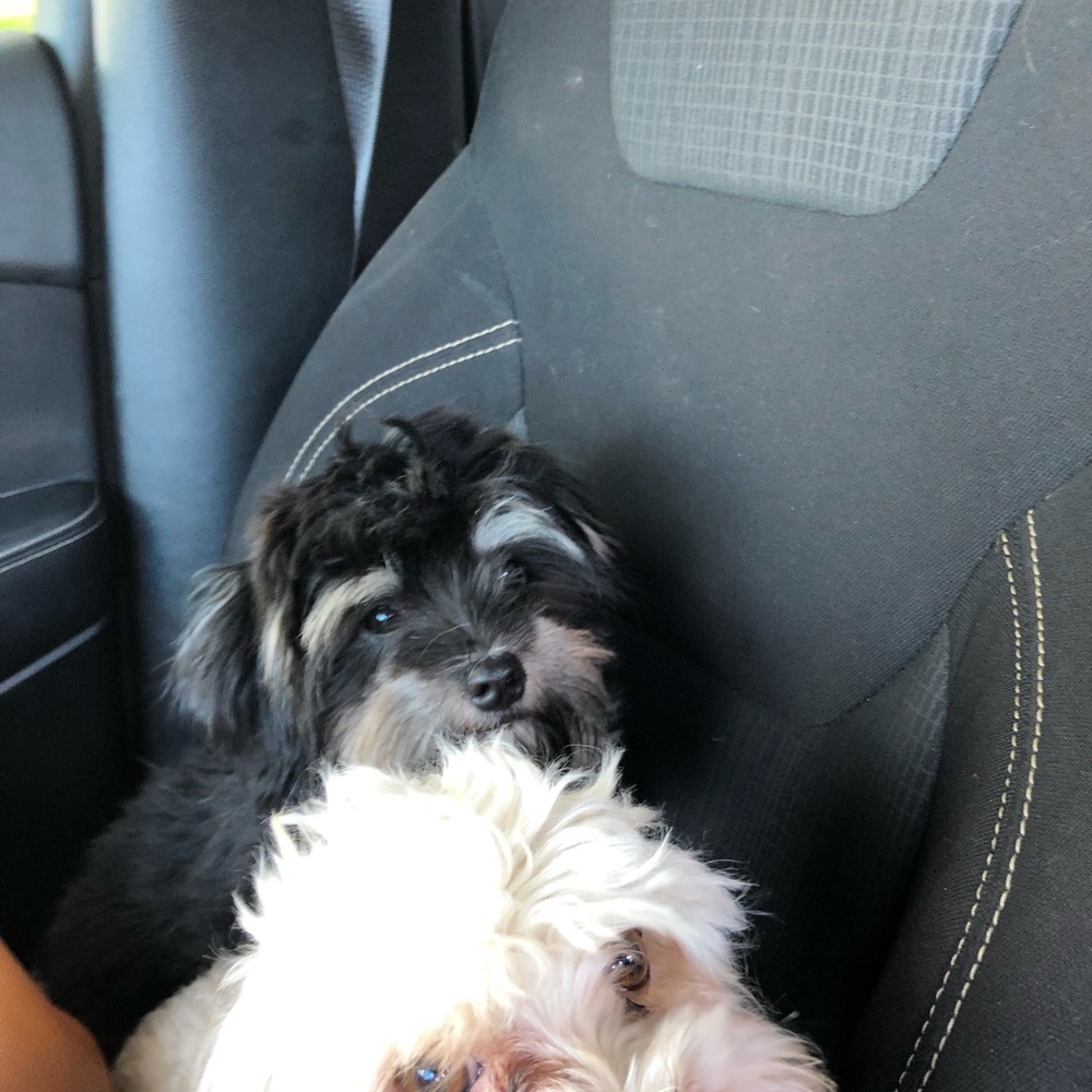 Meet your Posher, Melissa